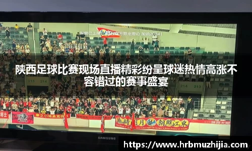竞技宝下载