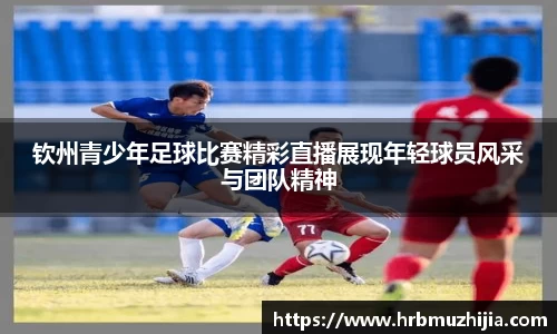 竞技宝下载