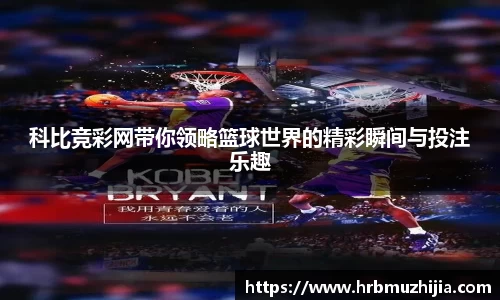 竞技宝下载